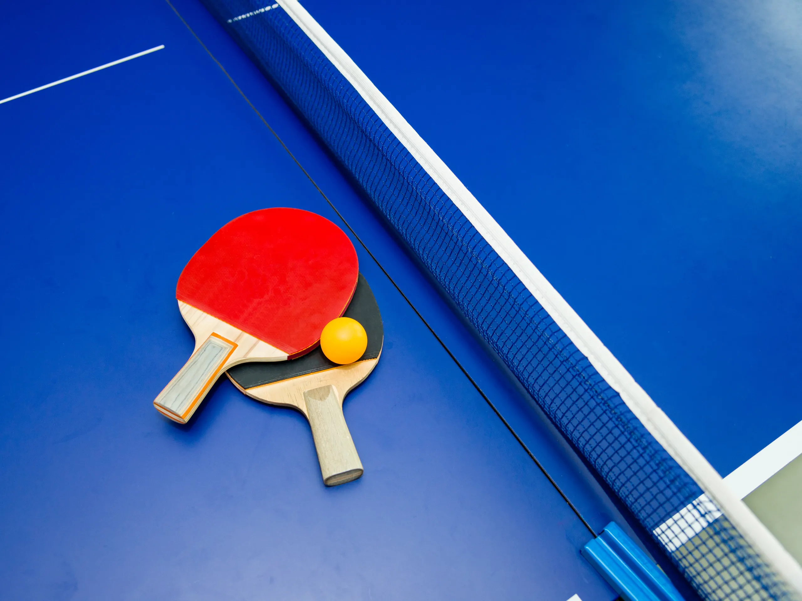 Table Tennis Court